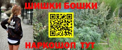 спиды Можга