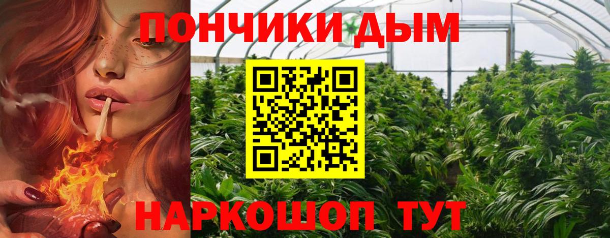 Каннабис конопля  Шишки марихуана конопля  Шишки марихуана сатива  Электросталь  Марихуана марихуана  Вход с VPN 
